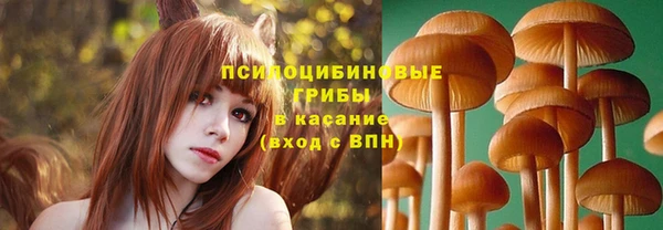 2c-b Покачи