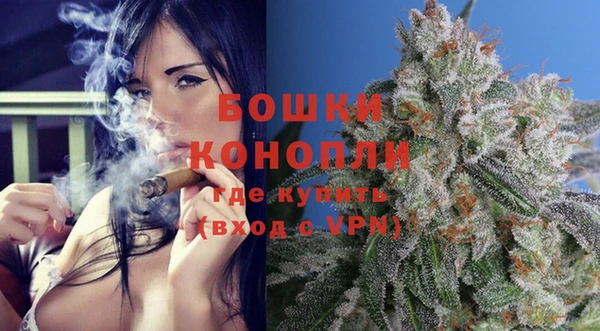 PSILOCYBIN Пестово
